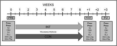 Effects of an Eight-Week Superimposed Submaximal Dynamic Whole-Body Electromyostimulation Training on Strength and Power Parameters of the Leg Muscles: A Randomized Controlled Intervention Study